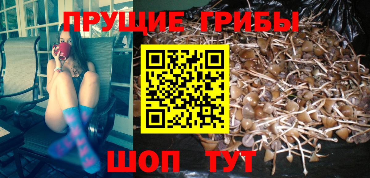 Галлюциногенные грибы MAGIC MUSHROOMS Муравленко