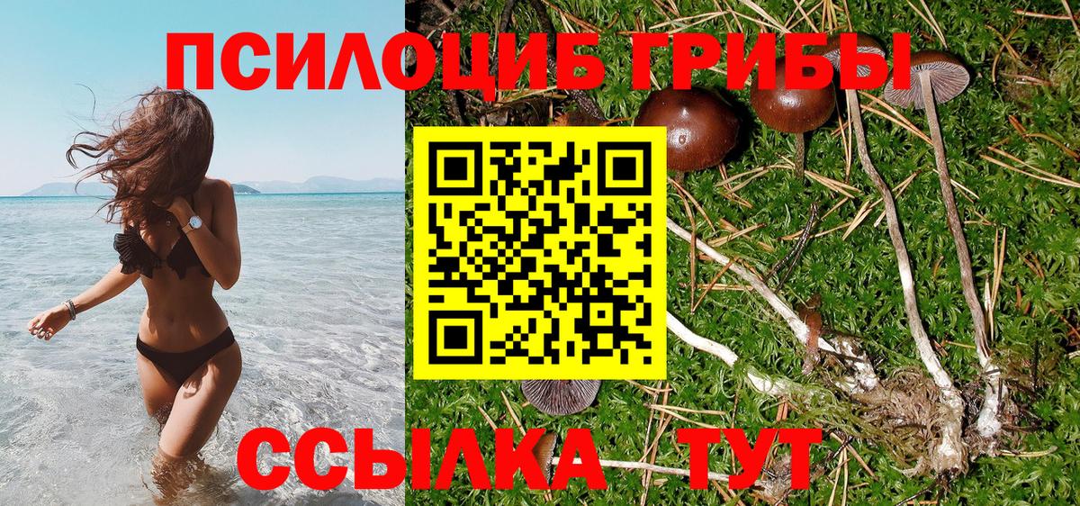 Галлюциногенные грибы Cubensis  Галлюциногенные грибы ЛСД  Муравленко  Вход с VPN 